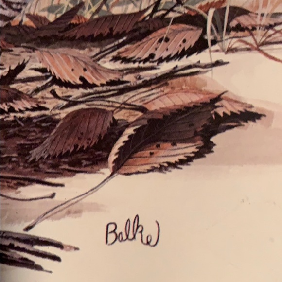 Balke Ruffled Grouse print - Picture 2 of 2